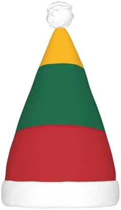 Lithuania Flag Print Santa Hat with LED Lights