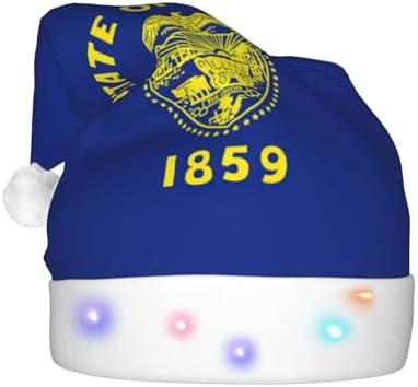 Oregon State Flag Christmas Hat with LED Lights