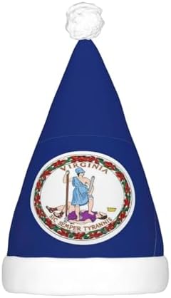 Virginia State Flag Christmas Hat With LED Lights