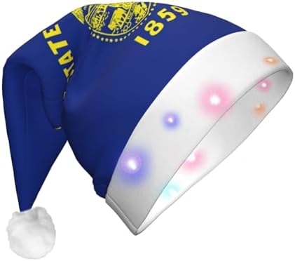 Oregon State Flag Christmas Hat with LED Lights