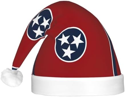Tennessee State Flag Print Christmas Hat with LED