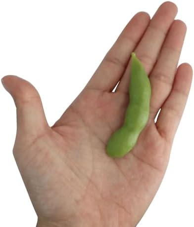 XGNG 24PCS Artificial Soybean Pods Realistic Market Display Props