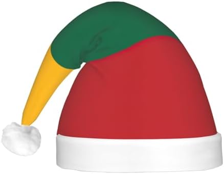 Lithuania Flag Print Santa Hat with LED Lights
