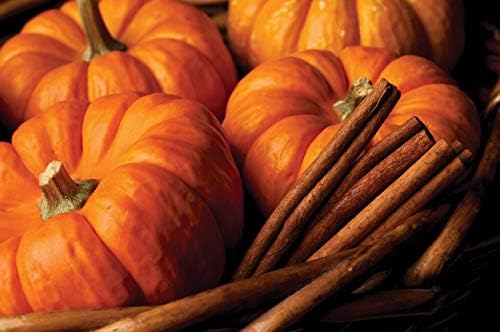 Root Candles Honeycomb Traveler Pumpkin Spice Candle