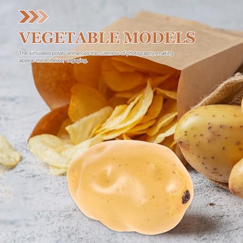 Operitacx 6Pcs Realistic Foam Potato Decor Models
