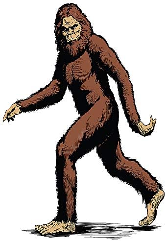 SP12059 Bigfoot Sasquatch Cardboard Cutout 61x41