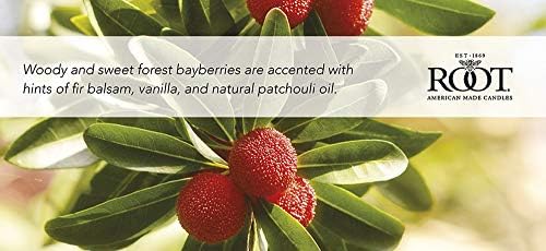 Root Candles Bayberry Honeycomb Jar Candle