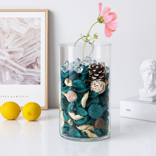 DomeStar Sea Shell Potpourri Bag Ocean Breeze Scent