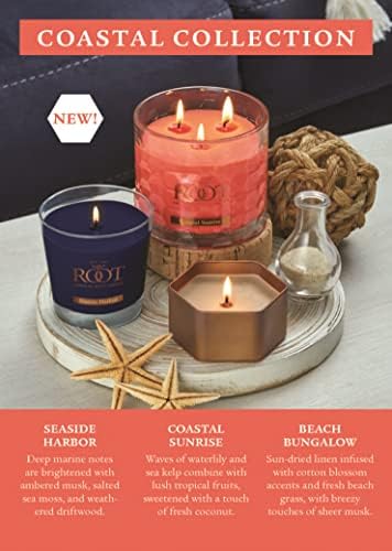 Root Candles Seaside Harbor Honeycomb Jar Candle