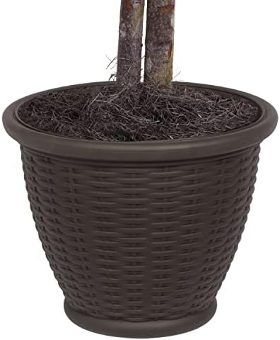 Vickerman 4 Artificial Variegated Ficus Bush with Container