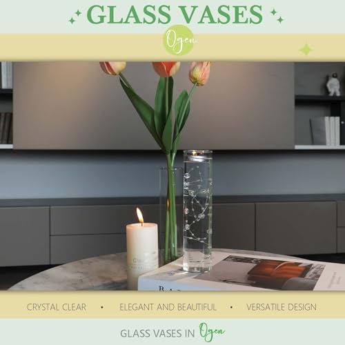 18pcs Clear Borosilicate Glass Vases for Home Decor