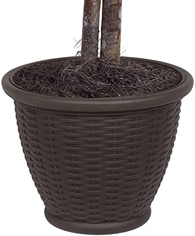 Vickerman 4 Foot Artificial Silver Maple Bush