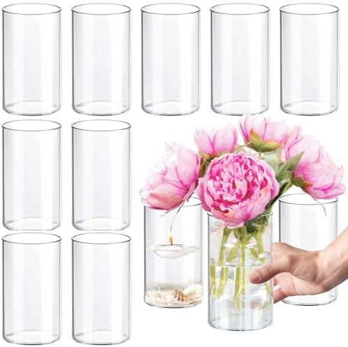 12Pcs Clear Glass Cylinder Vases for Centerpieces
