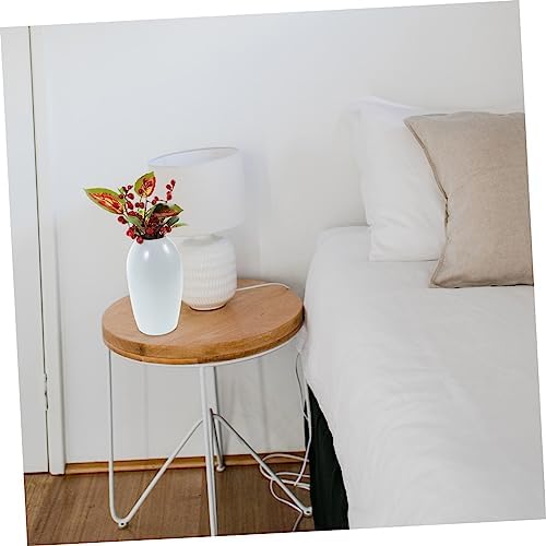 Minimalist Decor Vase for Home and Office