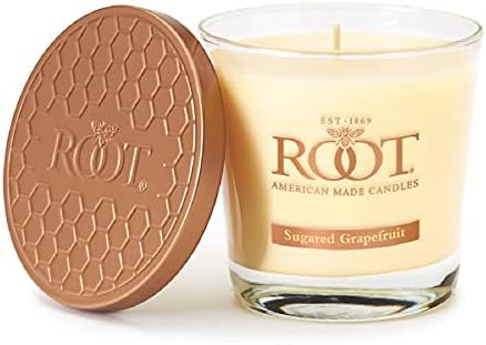 Root Candles Honeycomb Veriglass Scented Beeswax Candle Small Sugared Grapefruit