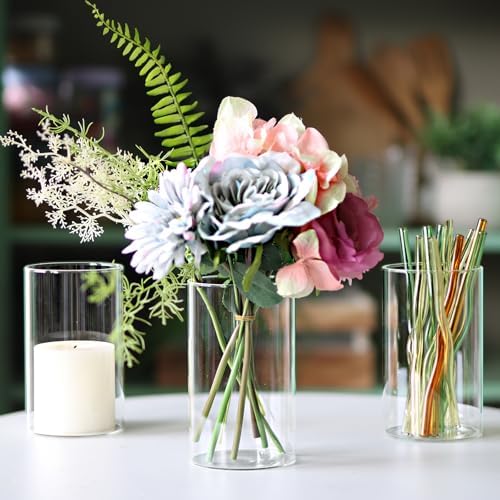 12Pcs Clear Glass Cylinder Vases for Centerpieces