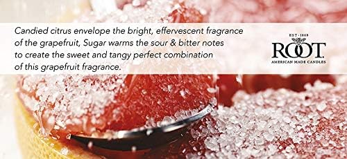 Root Candles 20-Hour Sugared Grapefruit Votive Candles 18-Count