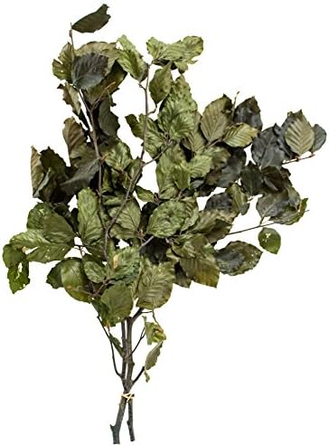 SuperMoss 12020 Dried Flowers Beech Green 35oz