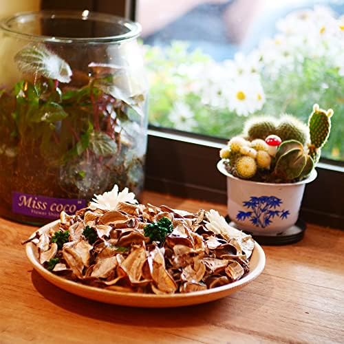 Mini Vanilla Scented Potpourri Bags for Home Decor
