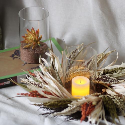 12Pcs Clear Glass Cylinder Vases for Centerpieces