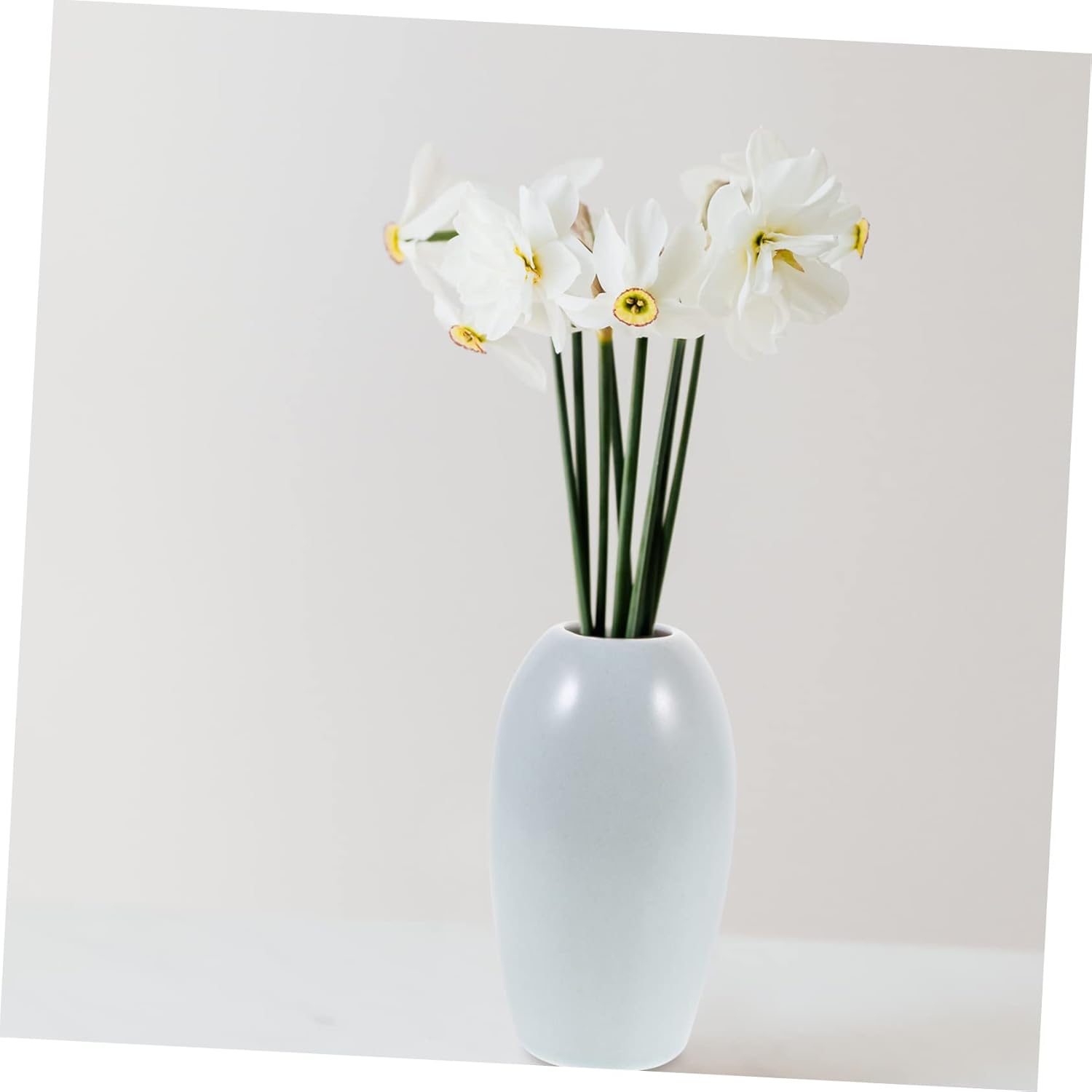 Minimalist Decor Vase for Home and Office