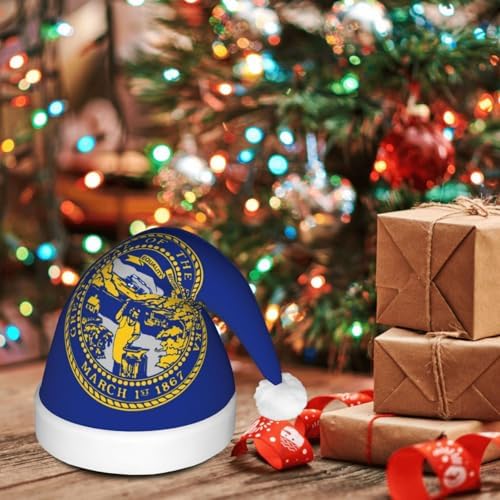 Nebraska Flag Print Christmas Hat with LED Lights