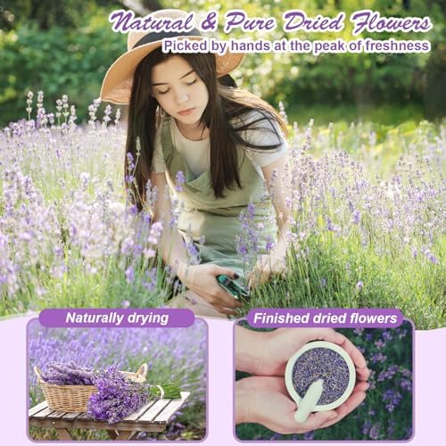 50 Bags Dried Flowers for DIY Crafts and Witchcraft
