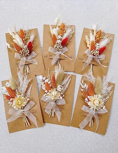 Xins Convey Mini Dried Flower Set Pack of 6 Terracotta