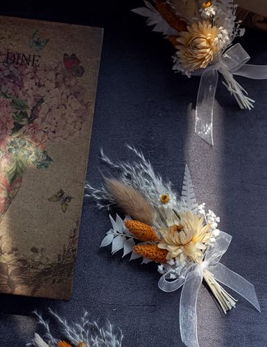 Xins Convey Mini Dried Flower Set Pack of 6 Terracotta