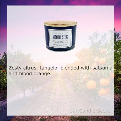 Red Leaf Home Midnight Citrus Candle 14oz Jar