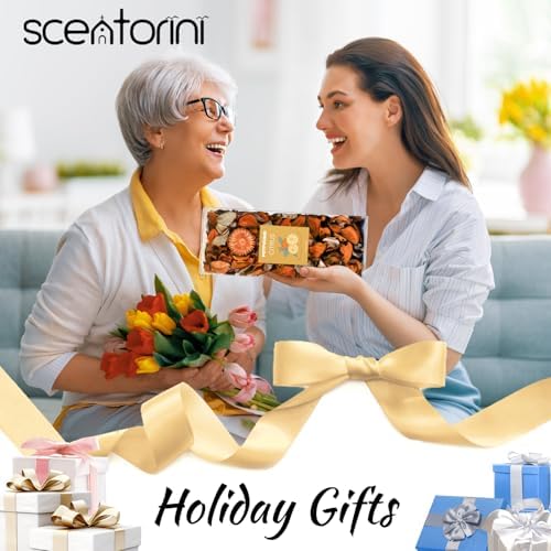 SCENTORINI Citrus Potpourri Bags 2 Pack Home Fragrance Dried Flower Vase Filler