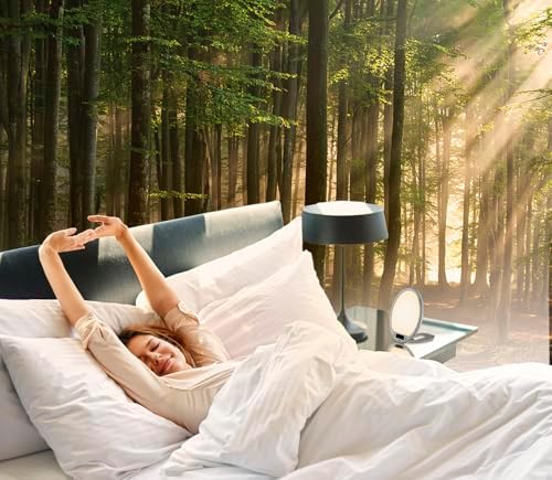 Portable Light Therapy Lamp with Sunrise Alarm and APP Control