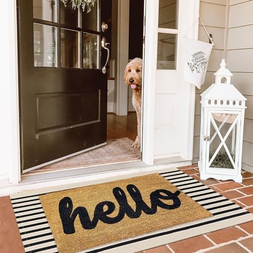 KILOCOCO Beige Striped Rug 23x36 Indoor Outdoor Door Mat