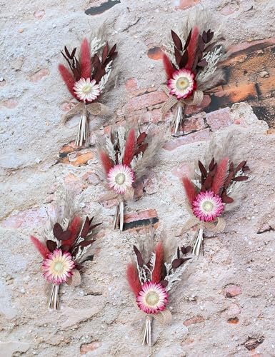 Xins Convey Burgundy Mini Dried Flower Bouquet Set of 6