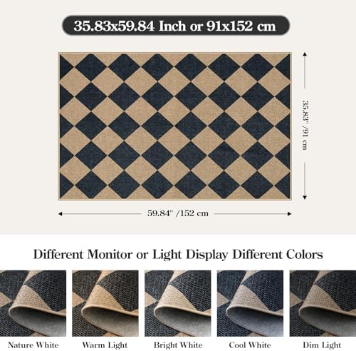 Lahome Checkered Jute 3x5 Outdoor Rug
