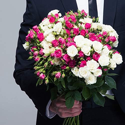 Design Master Rose Room Spray