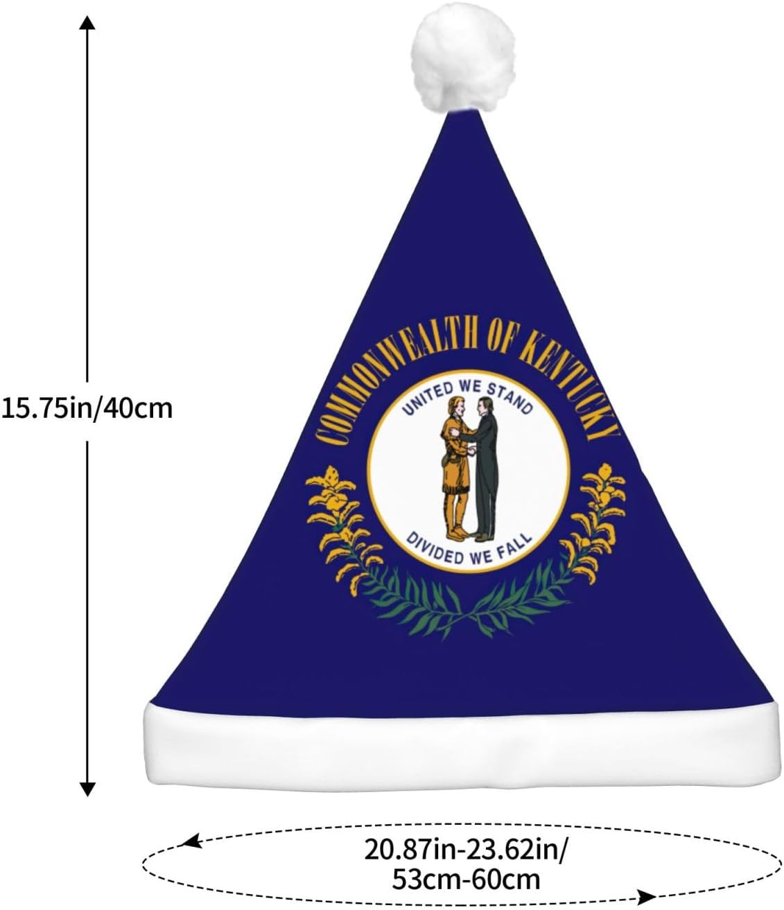 Kentucky State Flag Christmas Hat With LED Lights