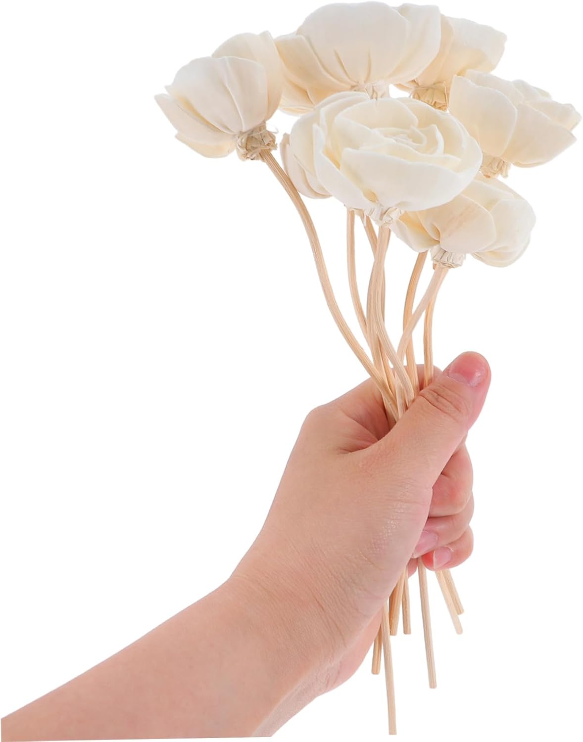 STOBAZA Aroma Diffuser Flowers 8pcs Natural Reed Diffuser Sticks for Home Use