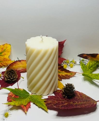 Cinnamon Vanilla Pillar Candle - 4 oz Natural Soy Wax Home Decor Candle