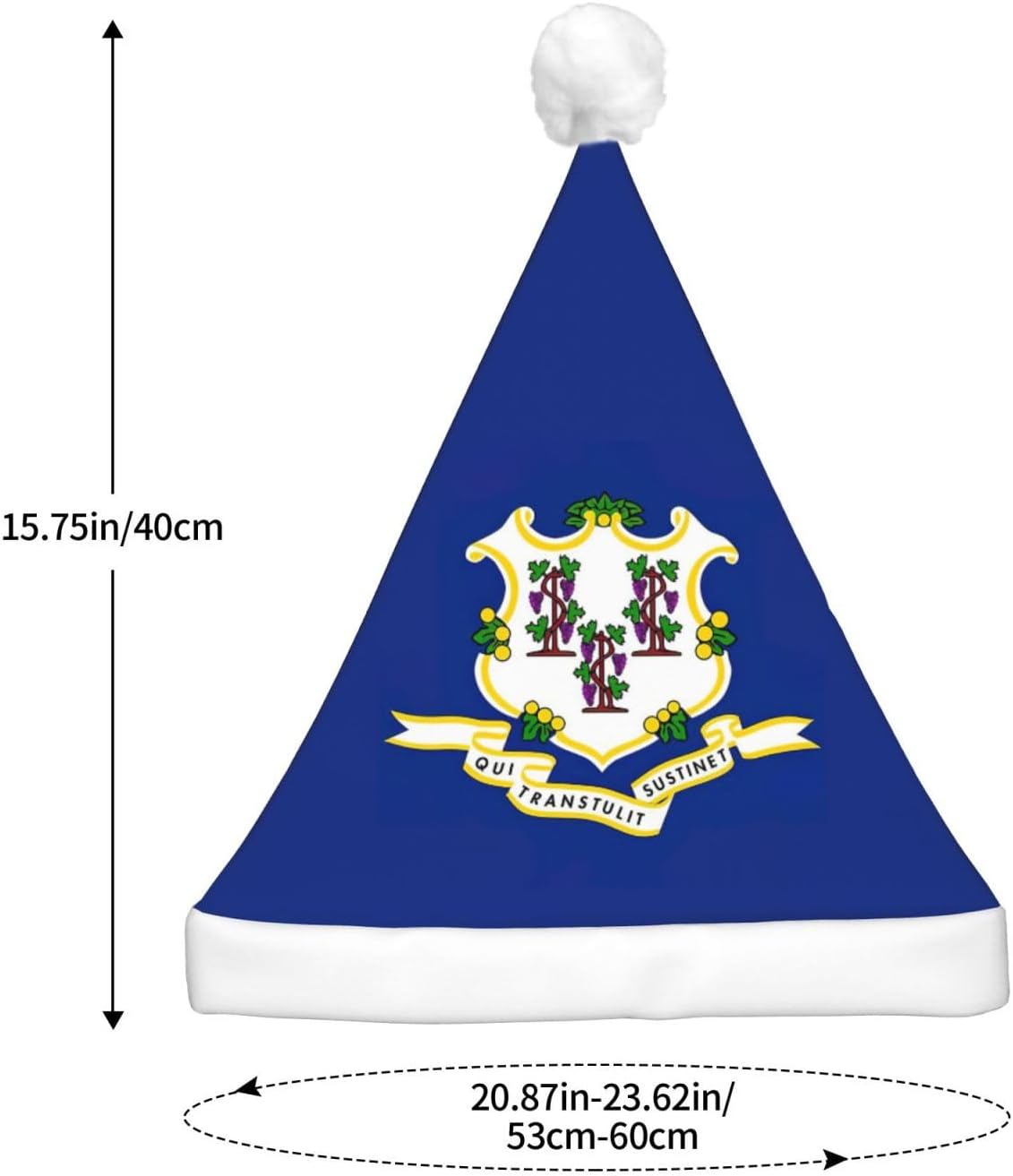 Connecticut State Flag Print Christmas Hat with LED Lights