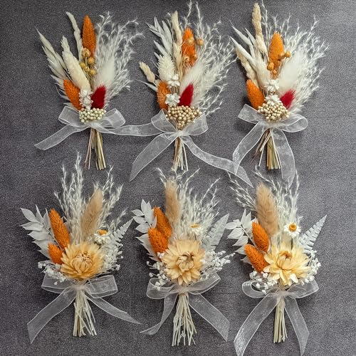 Xins Convey Mini Dried Flower Set Pack of 6 Terracotta