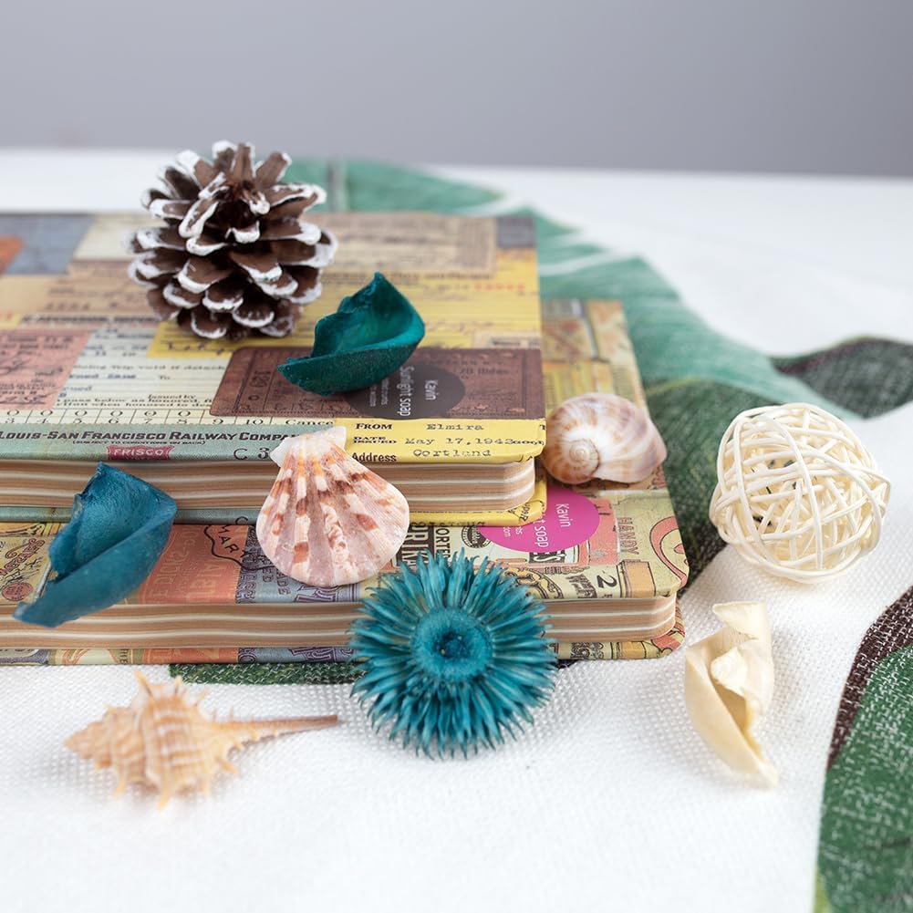 DomeStar Sea Shell Potpourri Bag Ocean Breeze Scent
