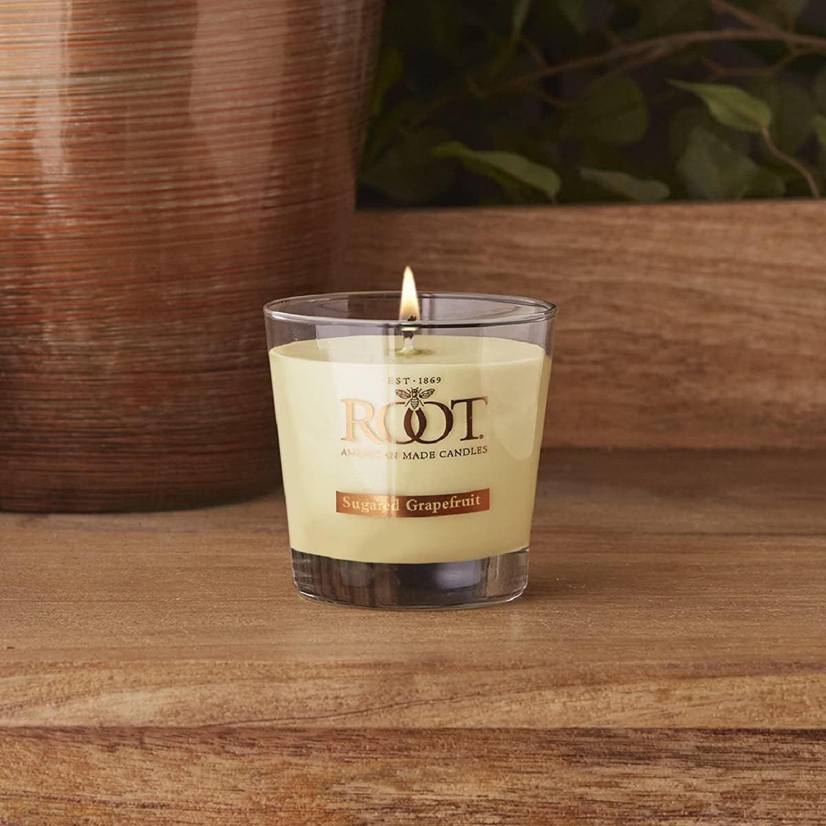 Root Candles Honeycomb Veriglass Scented Beeswax Candle Small Sugared Grapefruit