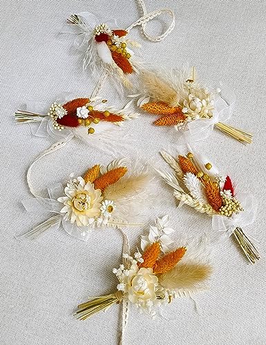 Xins Convey Mini Dried Flower Set Pack of 6 Terracotta