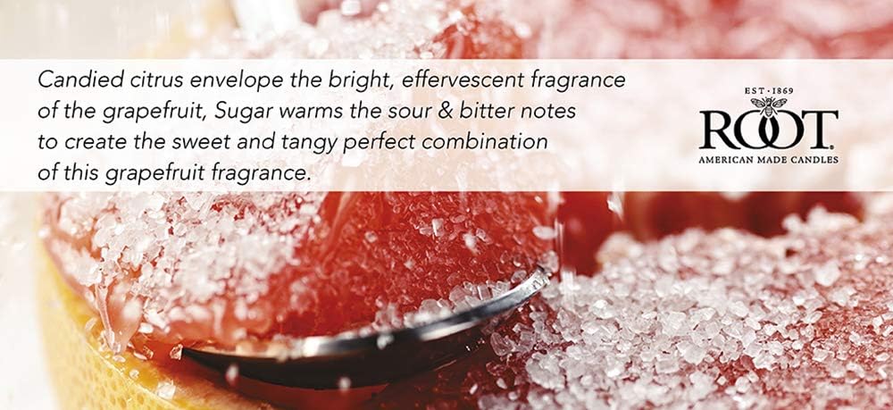 Root Candles 20-Hour Sugared Grapefruit Votive Candles 18-Count