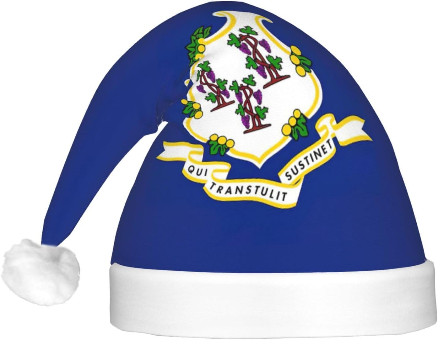 Connecticut State Flag Print Christmas Hat with LED Lights