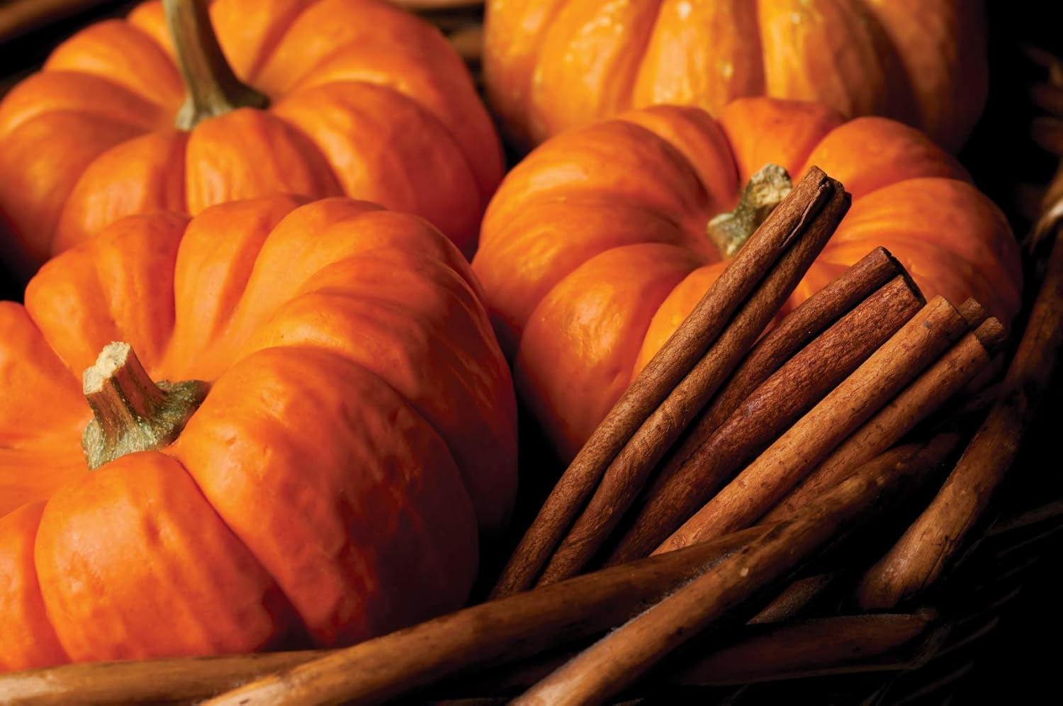 Root Candles Honeycomb Traveler Pumpkin Spice Candle