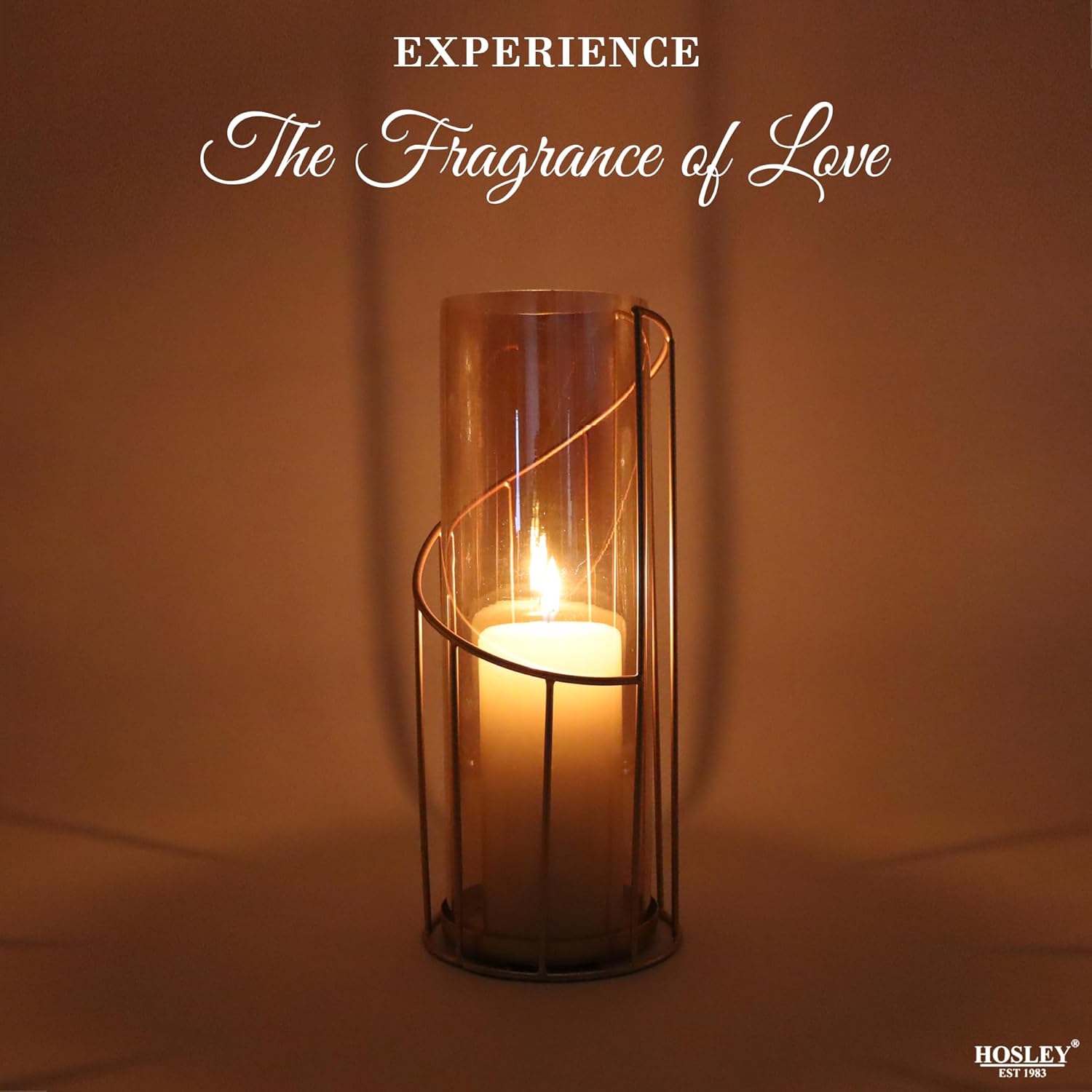 Hosley 12-Inch Metal Glass Hurricane Candle Holder