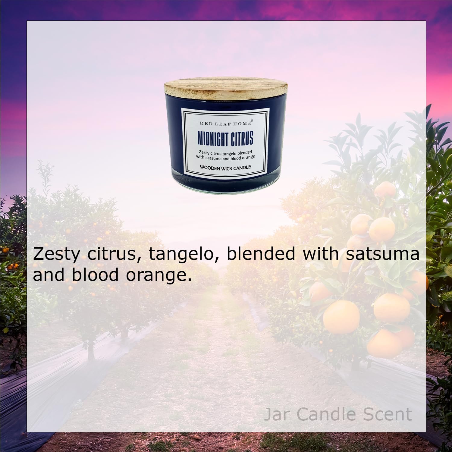 Red Leaf Home Midnight Citrus Candle 14oz Jar