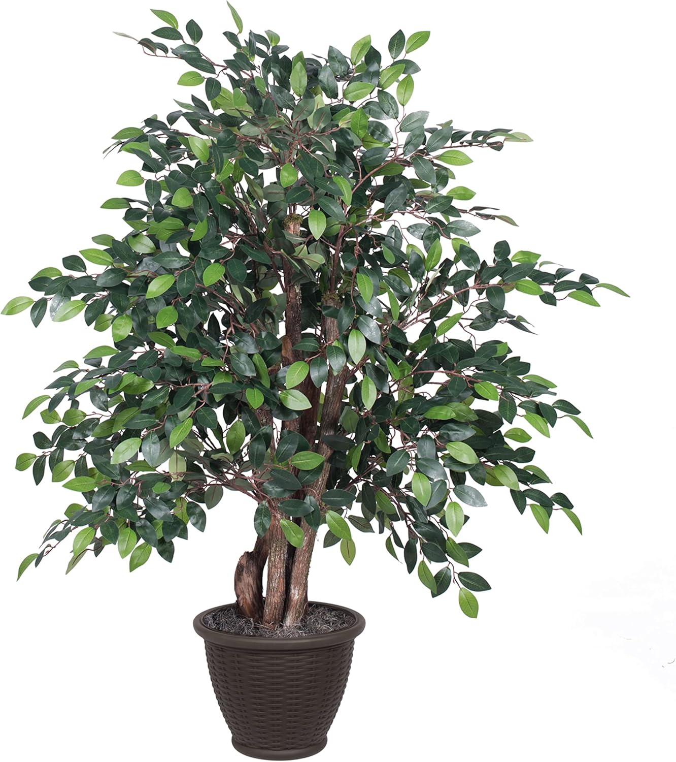 Vickerman 4 Foot Artificial Mini Ficus with Brown Container
